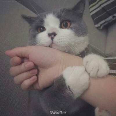 龙神剑手游官方版下载